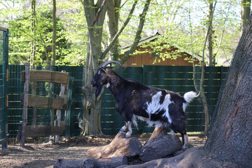 Sie ist auf dem Gipfel in Bullerbü
